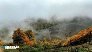 نمای زیبا از جنگل ابر - اقامتگاه بوم گردی دومان - روستای ابر - شاهرود - سمنان